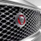 Jaguar Front Center Grille Emblem
